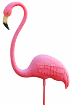 2010 International Dealer Conference